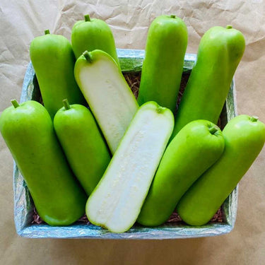 Chinese Long Squash 16lb box